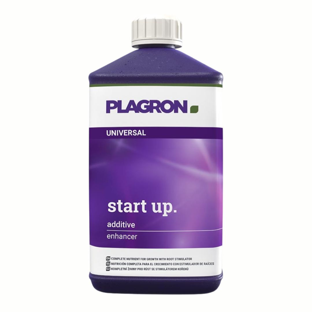 START UP1L
