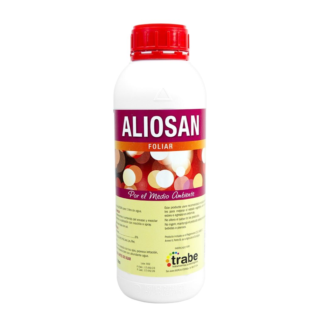 aliosan trabe ,e