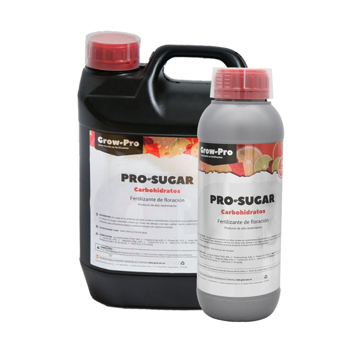 pro sugar conjunto