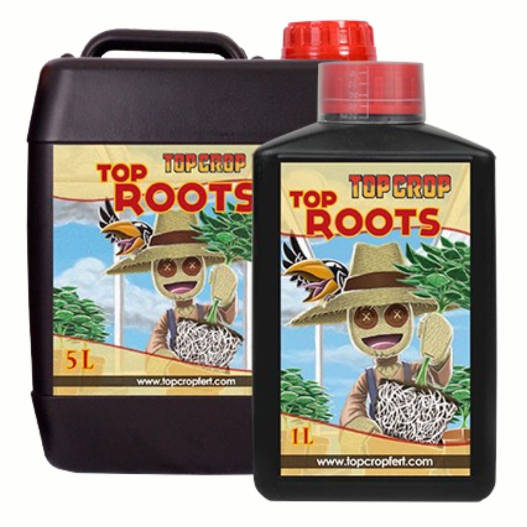 top roots familia