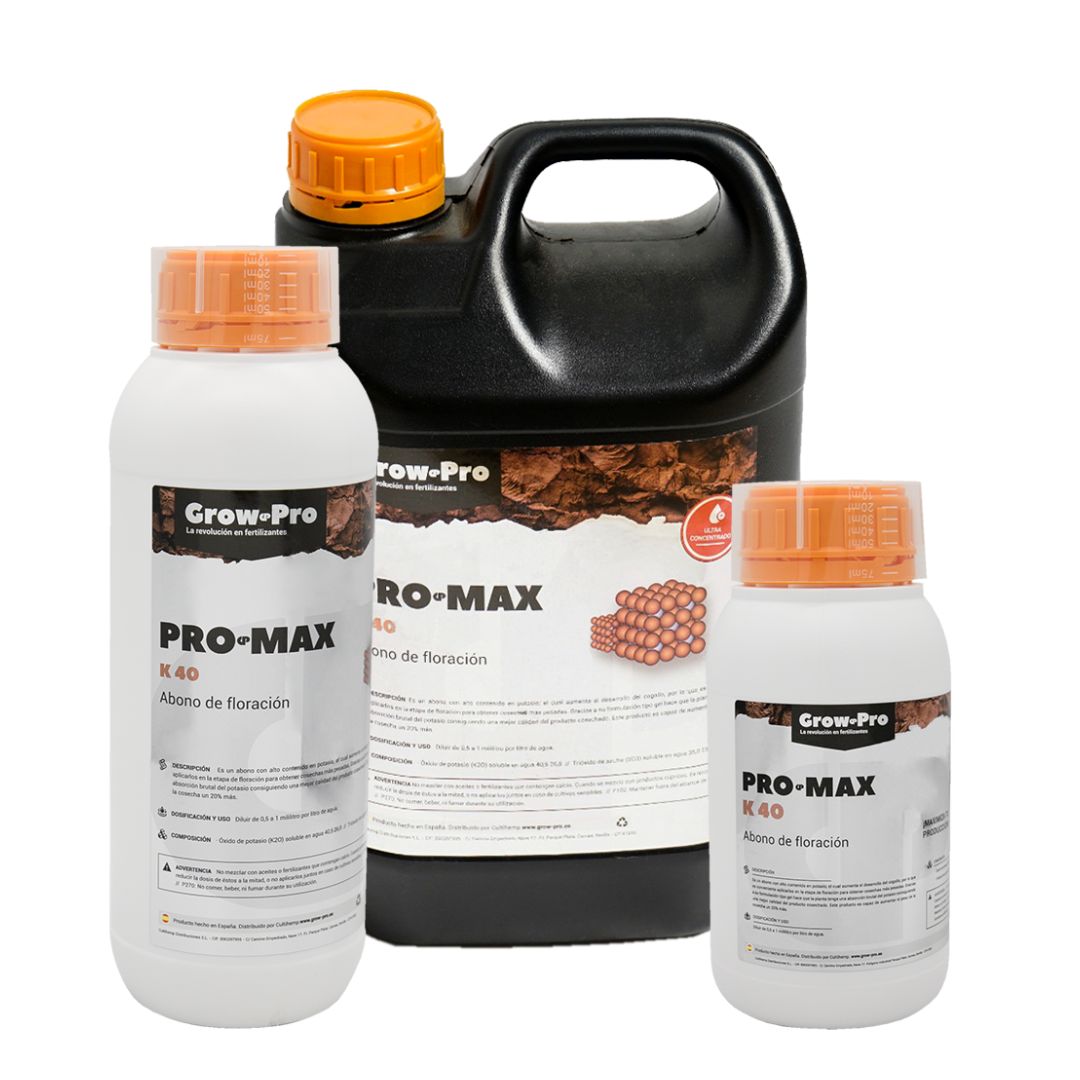pro max conjunto
